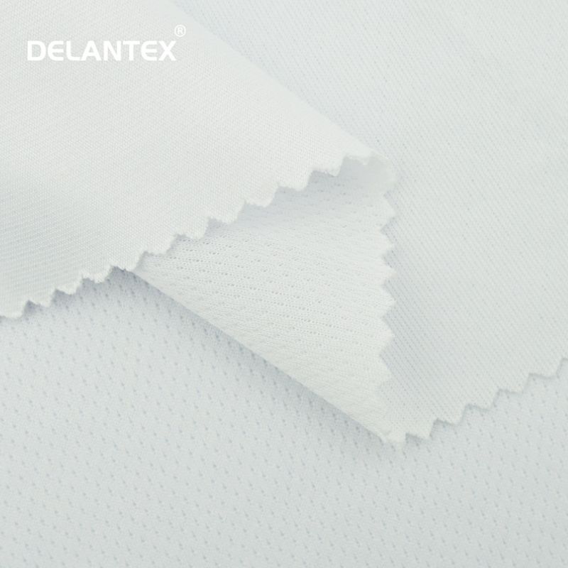 Dot Mesh Fabric 2