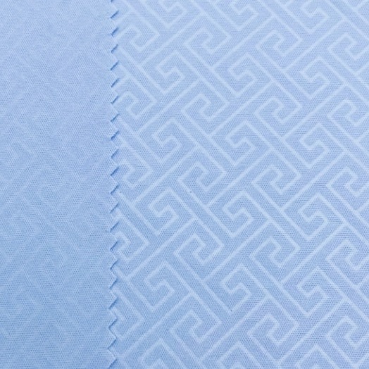 Delantex China Moisture Wicking Stretchable Fiber 75d Polyester Material Interlock fabric