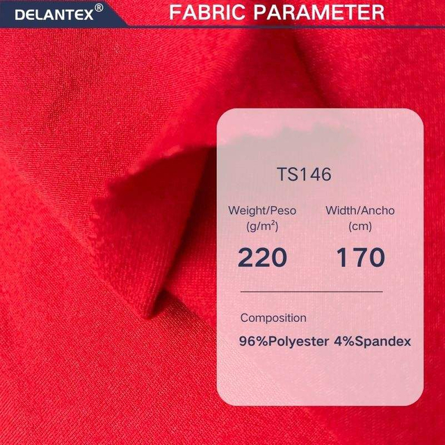 Delantex Anti Static Double Brush 96% Polyester 4% Elastane DTY Jersey Fabric for Garment