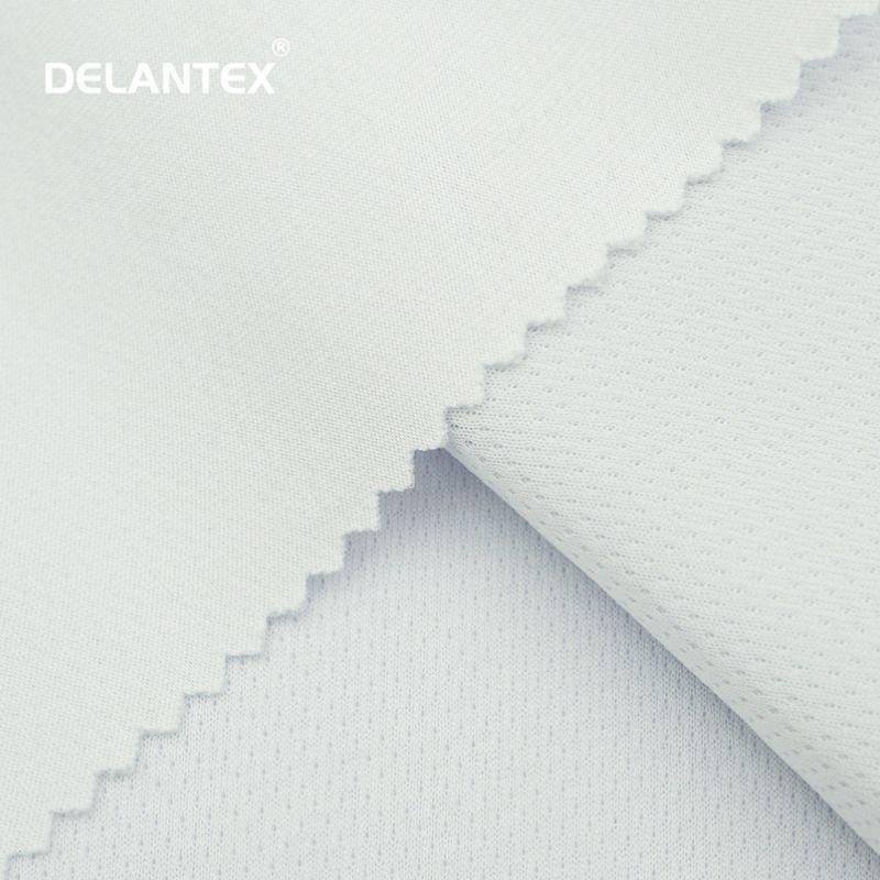 Dot Mesh Fabric 2