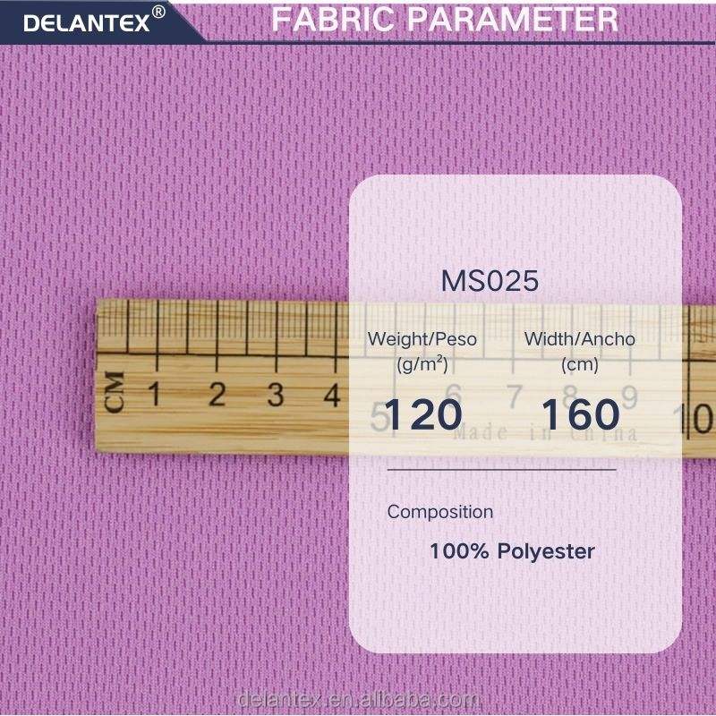 Delantex 100% Polyester DTY Bird Eye Mesh Stretch for Sportswear and Activewear