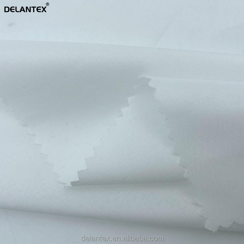 Delantex DTY 210cm 60gsm White Pongee Fabric for Garment Lining