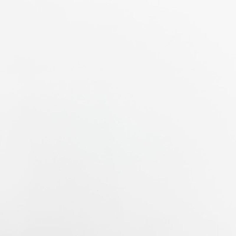 Delantex 90gsm White 100% Polyester 260T Pongee Fabric For Garment Lining &Outdoor Jackets with flexible order quantities